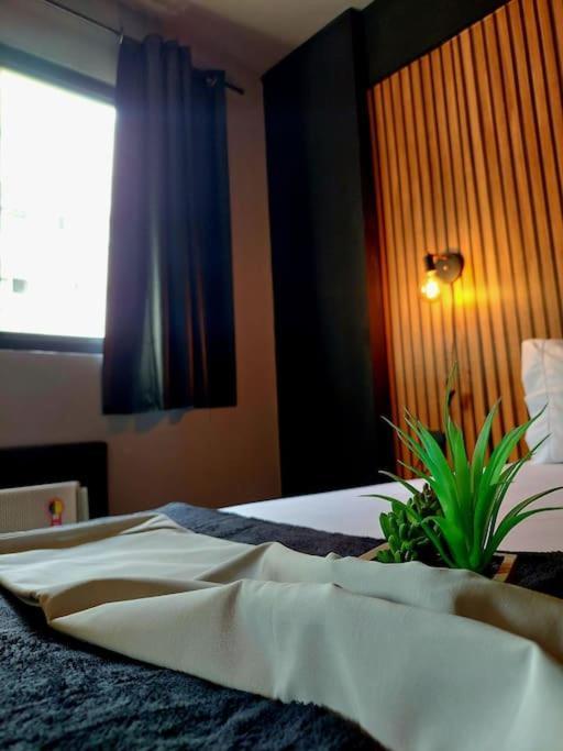 Studio Quartzo Verde, Centro. Campos dos Goytacazes Ngoại thất bức ảnh